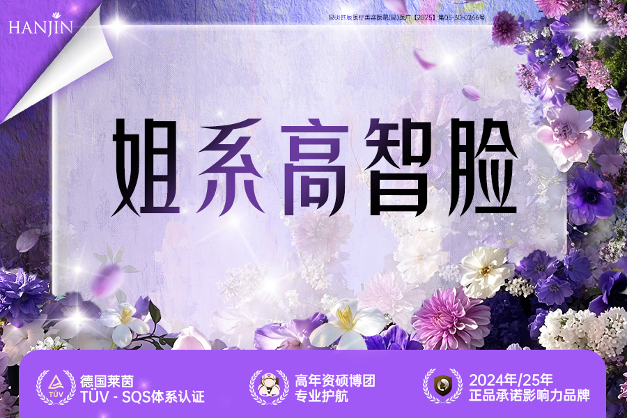 姐系高智脸